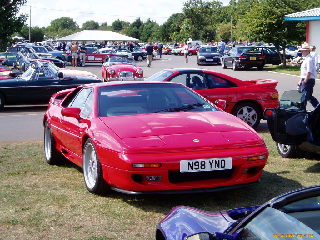 , lotus
